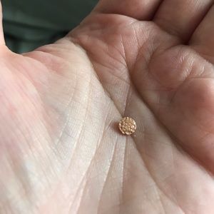 BVLA 5mm rose gold hammered disc- threaded